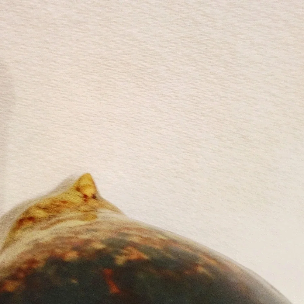 Set of 2 Allen + Roth  Ceramic Bird Tealight‎ Votive Candle Holder
